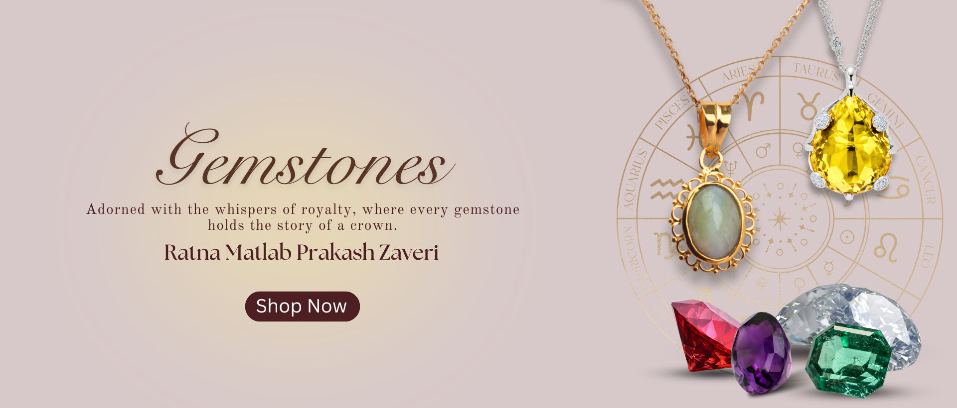 Our Latest Collection